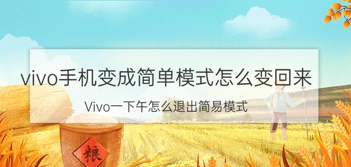 vivo手机变成简单模式怎么变回来 Vivo一下午怎么退出简易模式？